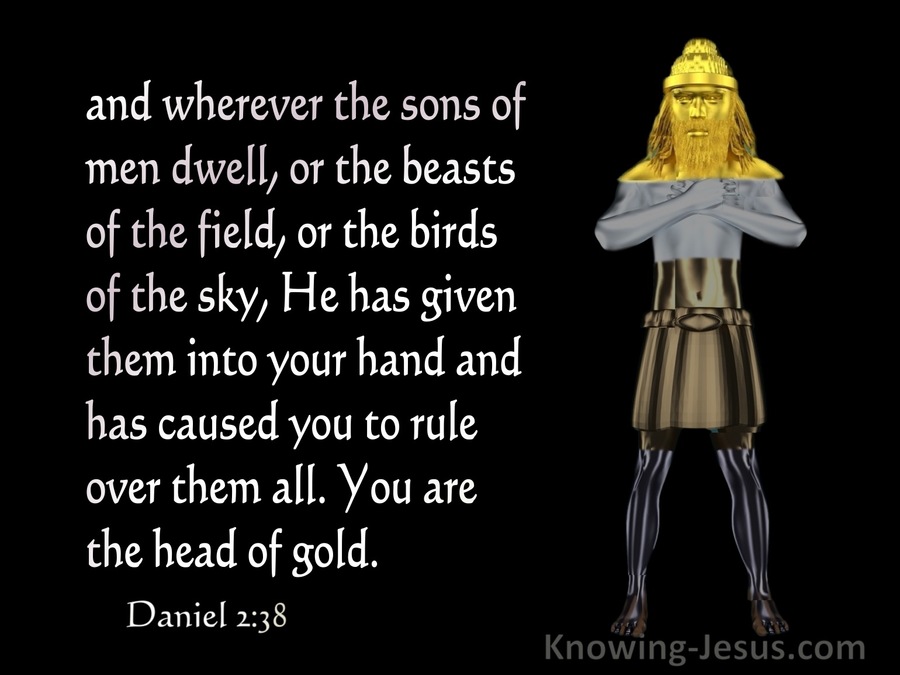 Daniel 2:38 You Are The Head Of Gold (gray)